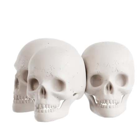 Skulls  3D Icon