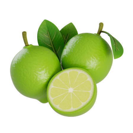 Sliced Lime  3D Icon