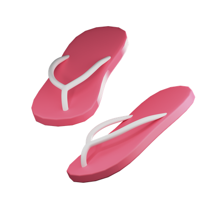 Slipper  3D Illustration