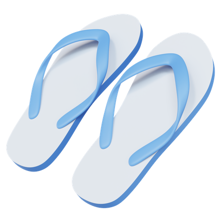 Slippers  3D Illustration