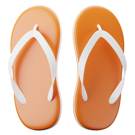 Slippers  3D Illustration