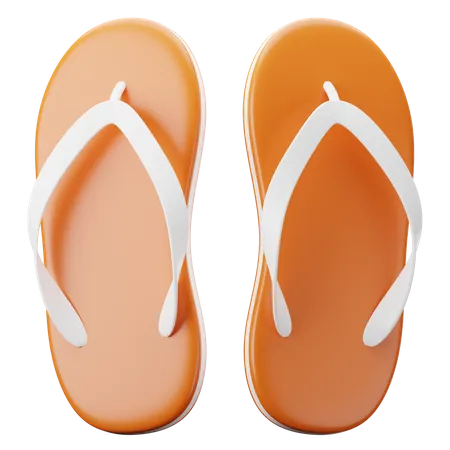 Slippers  3D Illustration