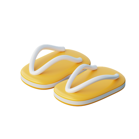 Slippers 3D Illustration