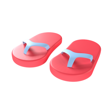 Slippers 3D Illustration