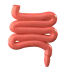 Small Intestine