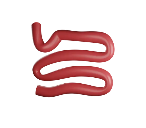 Small Intestine 3 D Illustration Contains PNG BLEND And OBJ 3D Illustration