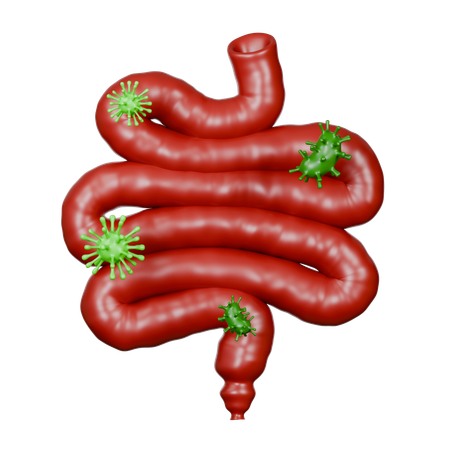 Small Intestine Diseases  3D Icon