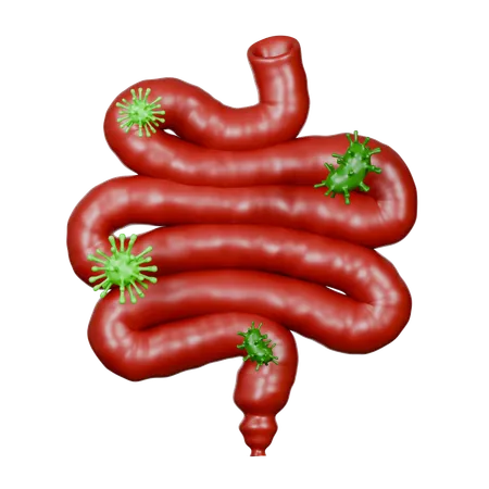 Small Intestine Diseases  3D Icon