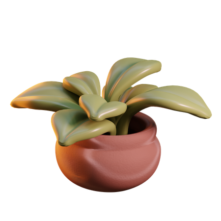 Small plant  3D Icon