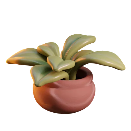 Small plant  3D Icon