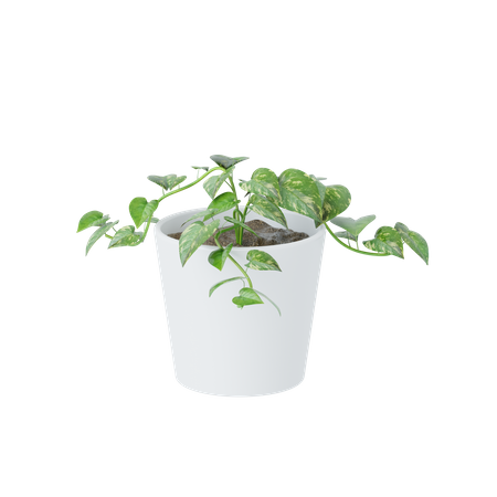 Small Plant  3D Icon