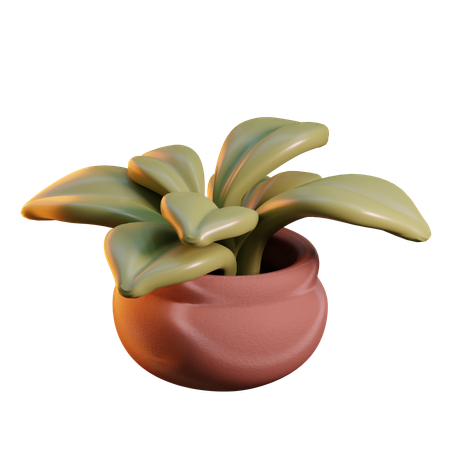 Small plant  3D Icon