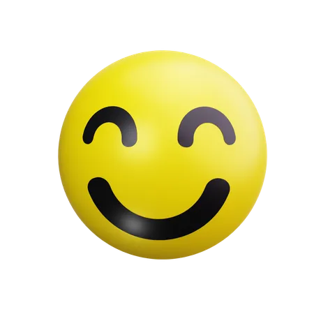 Smiley Face  3D Icon