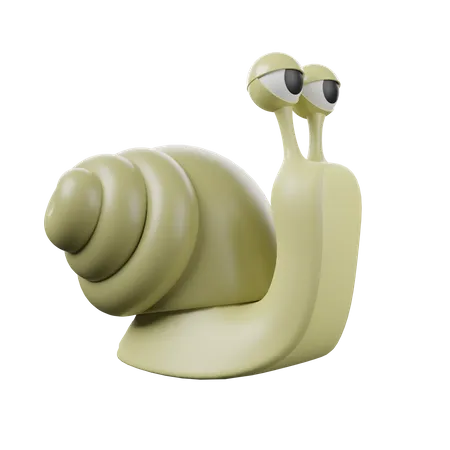 Snail  3D Icon