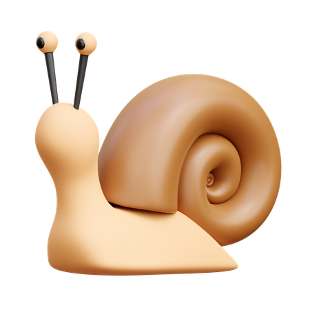 Snail  3D Icon