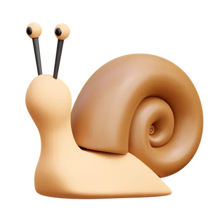 Snail  3D Icon