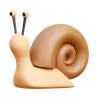 Snail