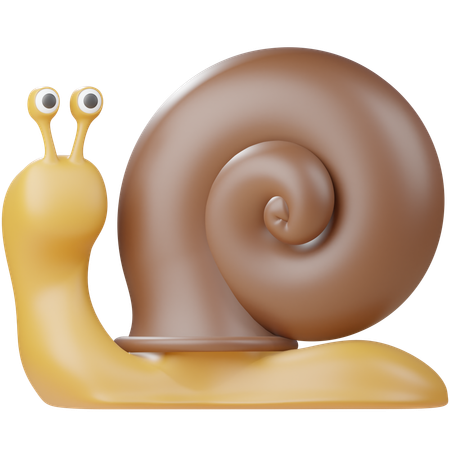 Snail  3D Icon