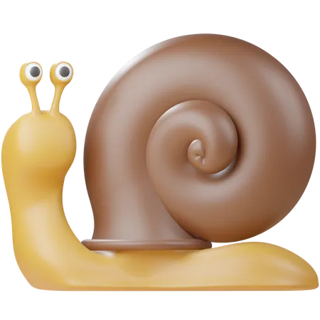 Snail  3D Icon