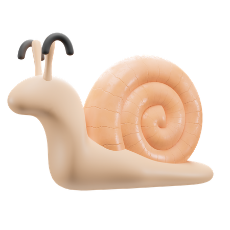 Snail  3D Illustration