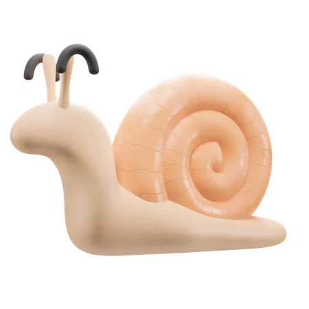 Snail  3D Illustration