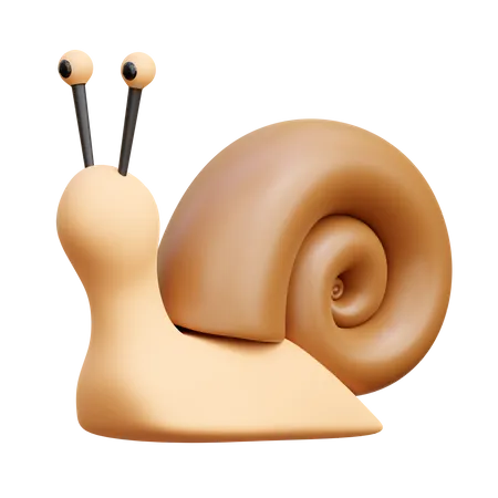 Snail 3D Icon