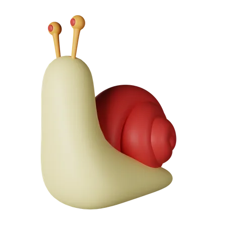 Snail  3D Icon