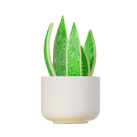 Snake Plant  3D Icon