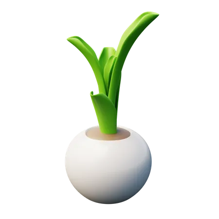 Snake Plant  3D Icon