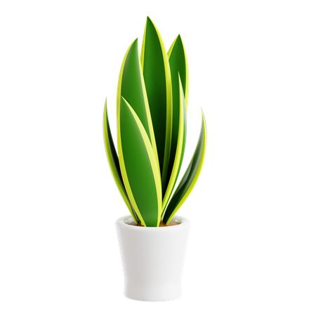 Snake Plant  3D Icon