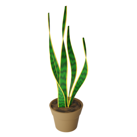 Snake Plant  3D Icon