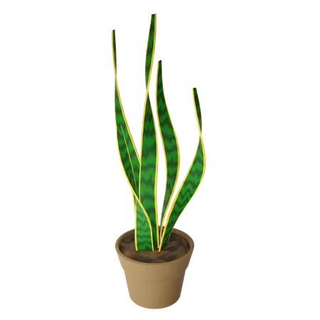 Snake Plant  3D Icon