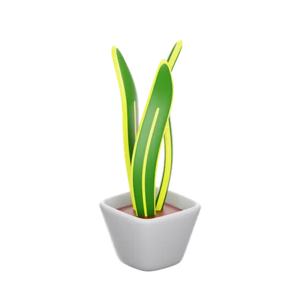 Snake Plant  3D Icon