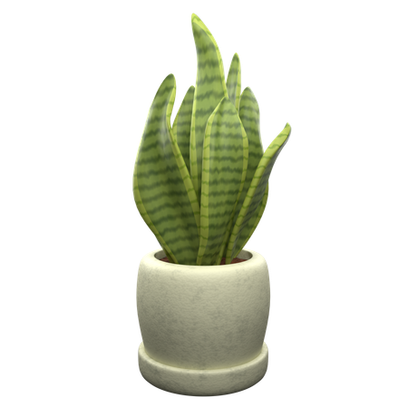 Snake Plant  3D Icon