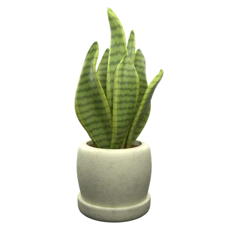 Snake Plant  3D Icon