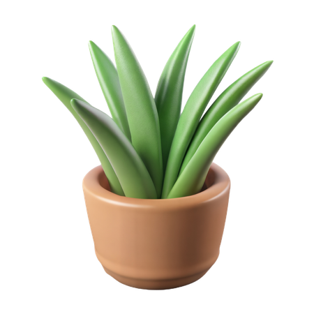 Snake Plant  3D Icon