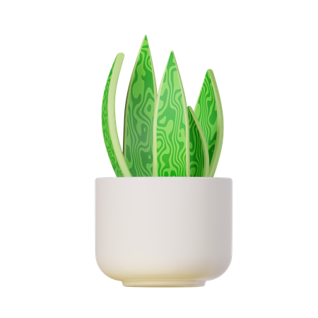 Snake Plant  3D Icon