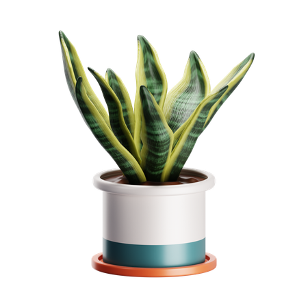 Snake plant  3D Icon