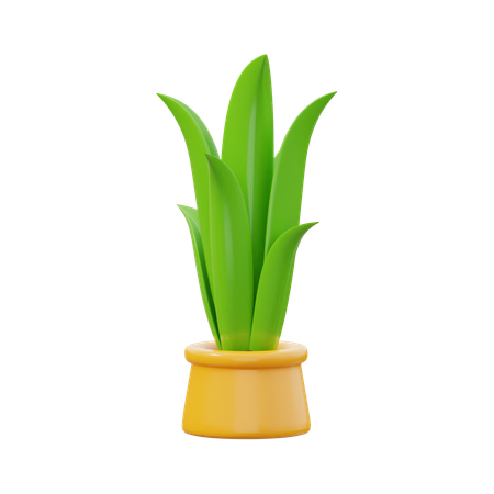 Snake Plant Green  3D Icon