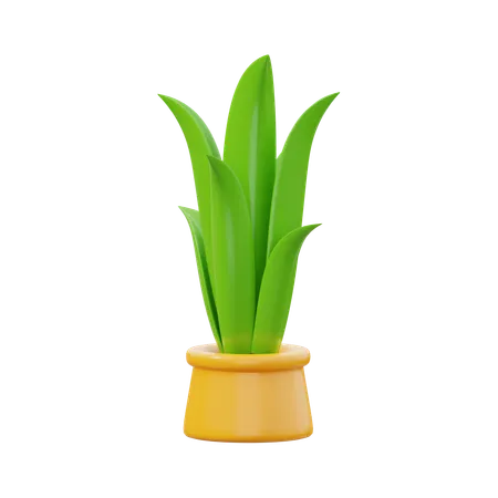 Snake Plant Green  3D Icon