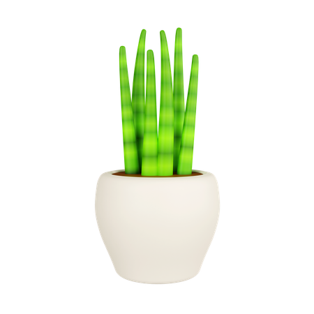 Snake Plant In Plant Pot  3D Icon