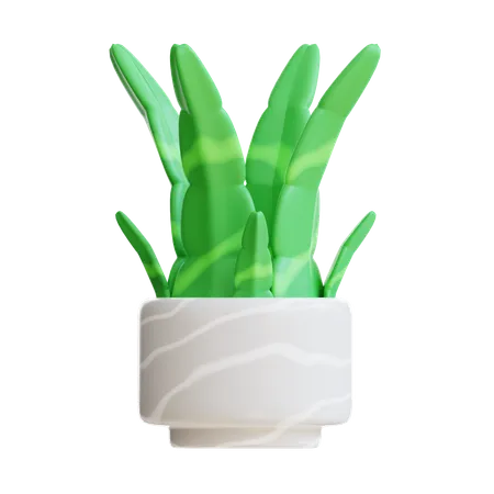 Snake Plant Pot  3D Icon