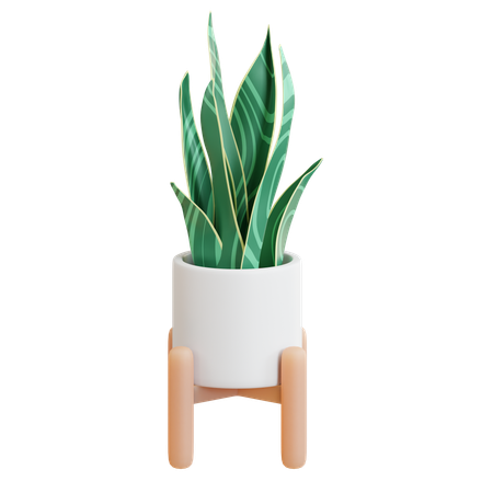 Snake Plant Pot  3D Icon