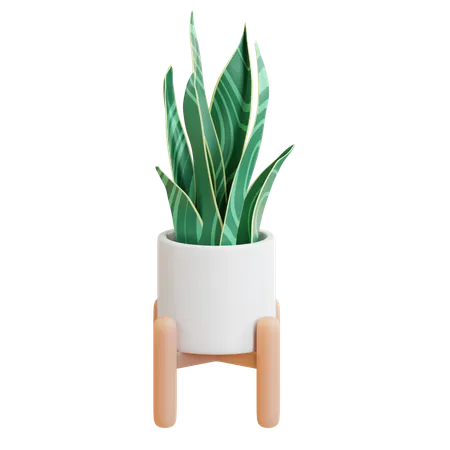 Snake Plant Pot  3D Icon