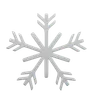 Snow Flake