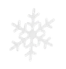 Snowflake