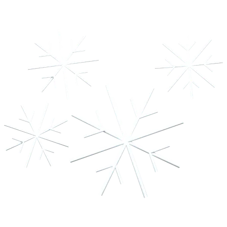 Snowflakes 3 D Icon Illustration 3D Icon
