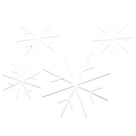 Snowflakes  3D Icon