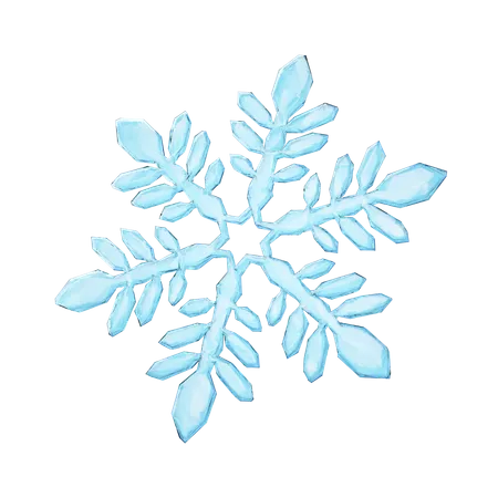 Snowflakes  3D Icon