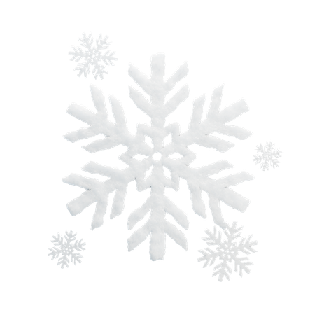 Snowflakes  3D Icon